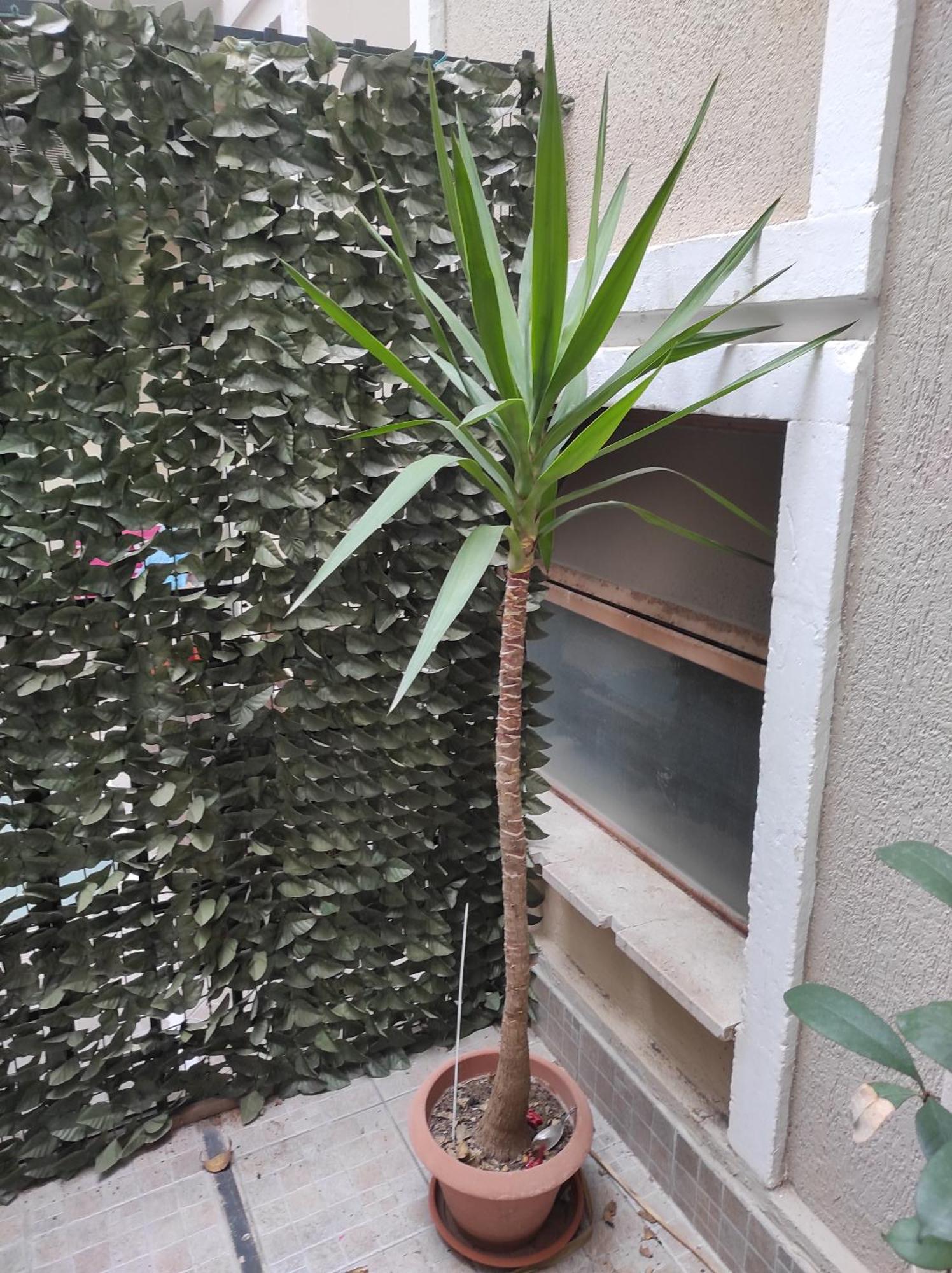 Apartmán Casa Bacchilide Syracuse Exteriér fotografie